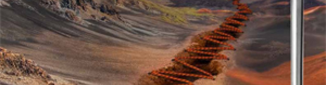 МАРКИРОВКА ИГЛ ДЛЯ ПРОМЫШЛЕННЫХ ШВЕЙНЫХ МАШИН