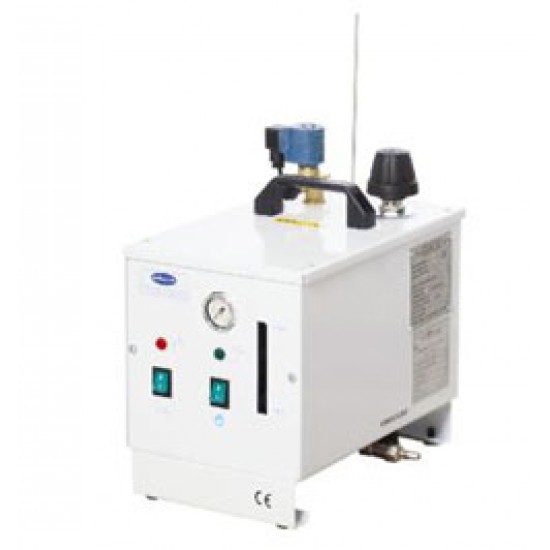 Парогенератор Pratika 